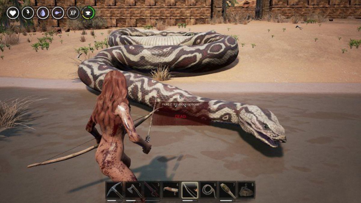 流放者柯南ConanExiles V19623-生存+RPG类大型游戏(带整合MOD) 3